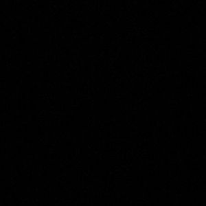 Meet your Posher, Rosa